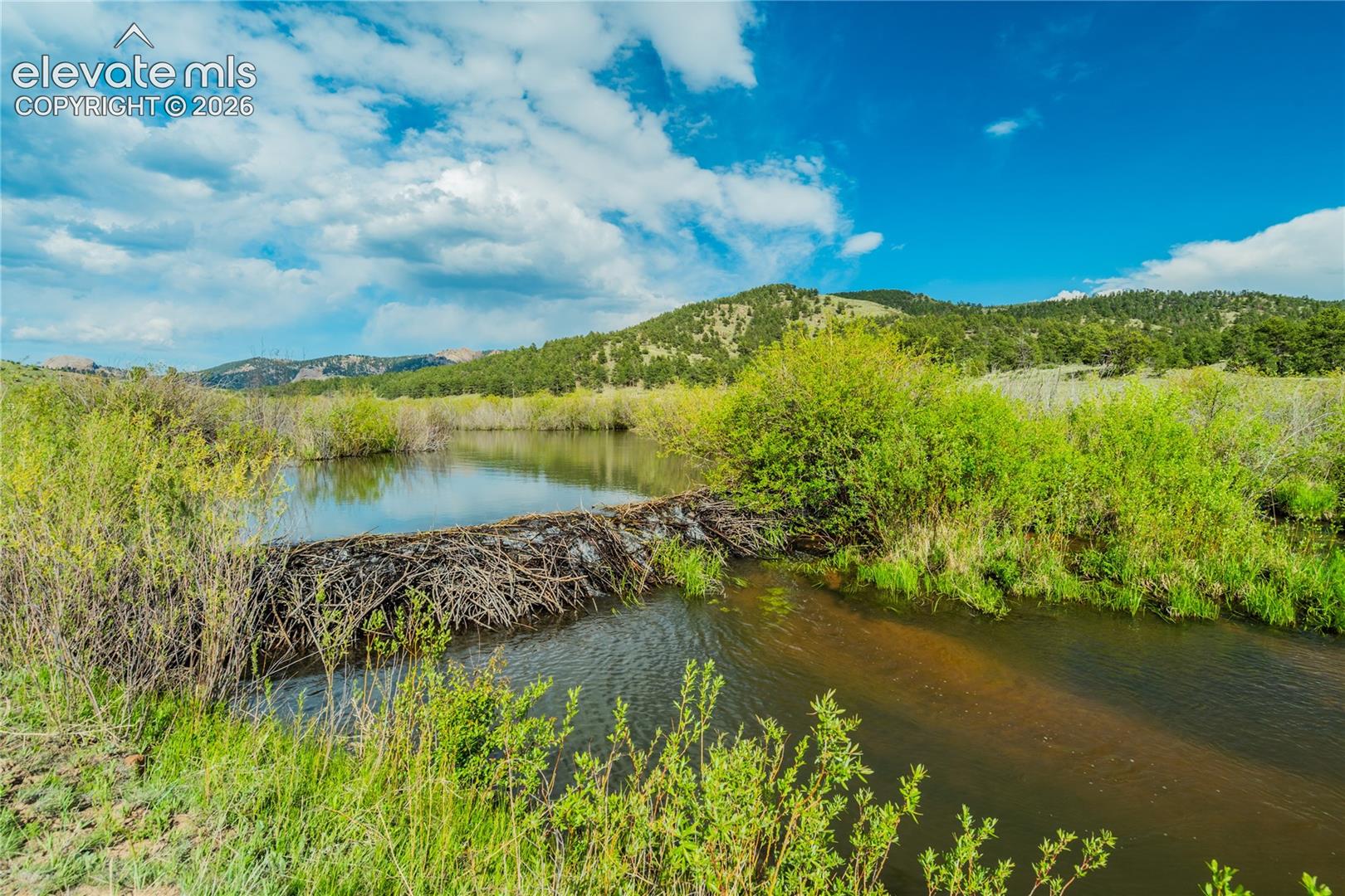 224 Lakeview Forest Heights