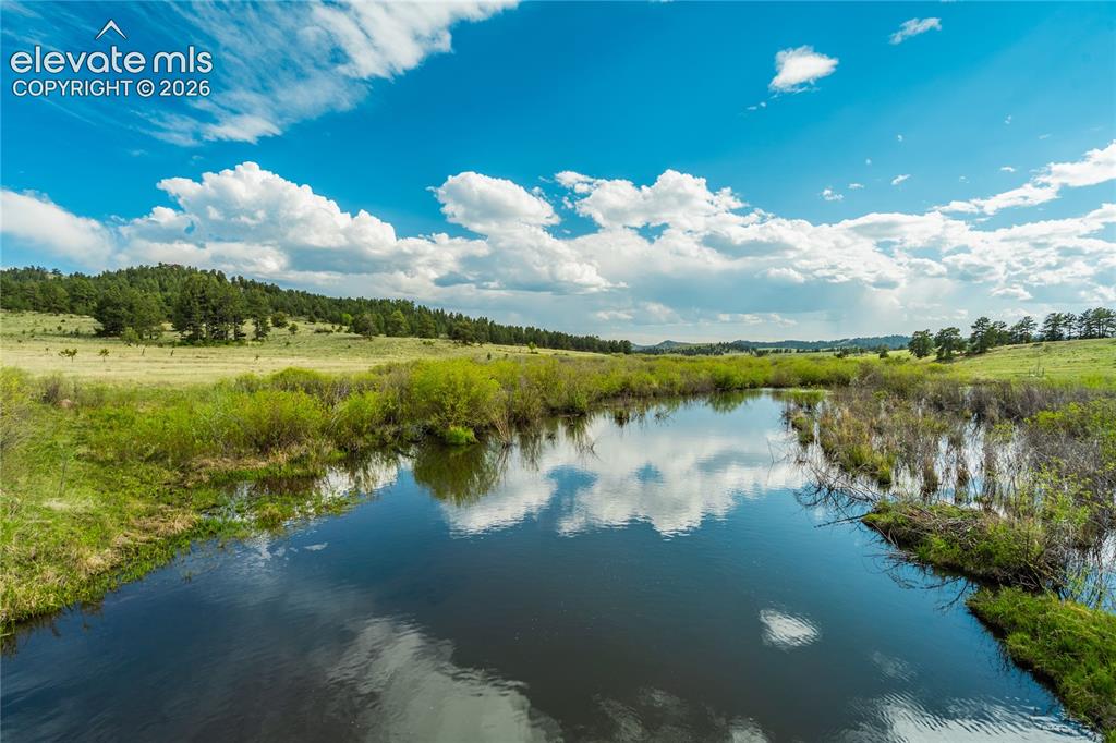 224 Lakeview Forest Heights