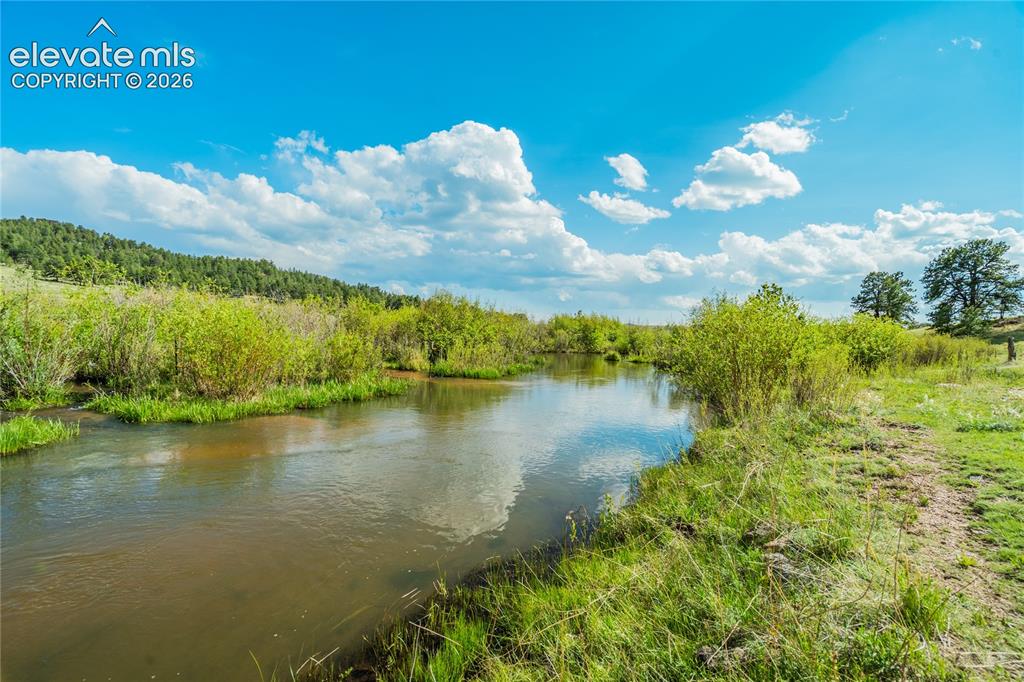 224 Lakeview Forest Heights