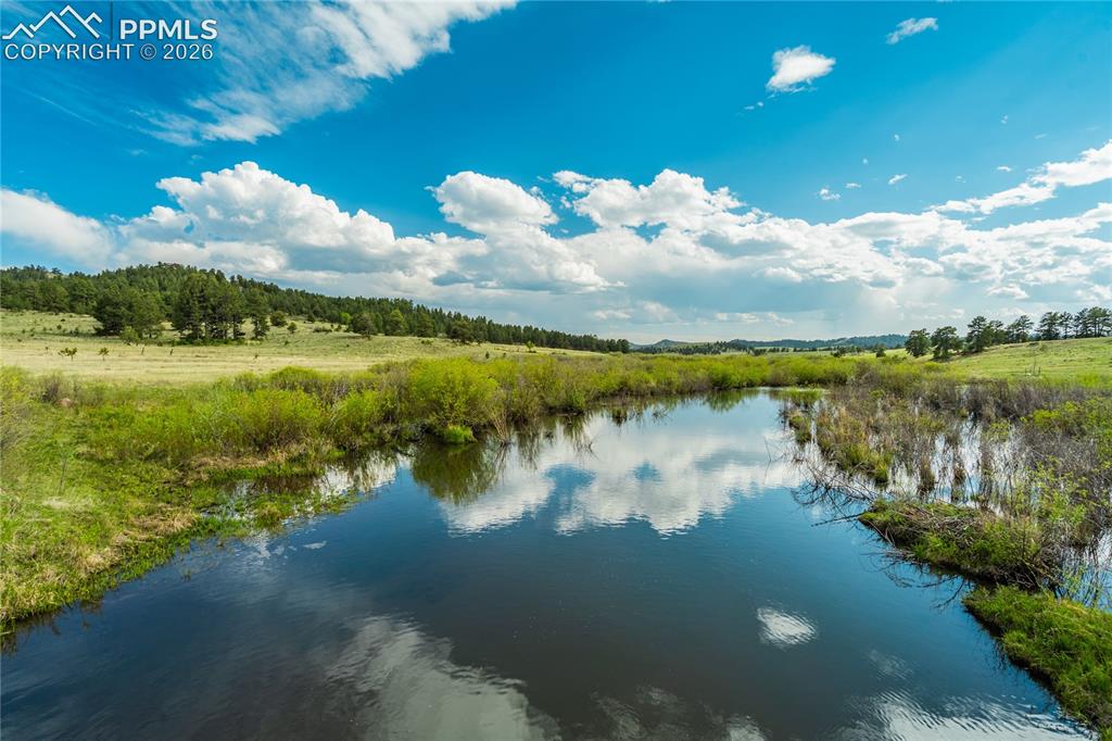 224 Lakeview Forest Heights