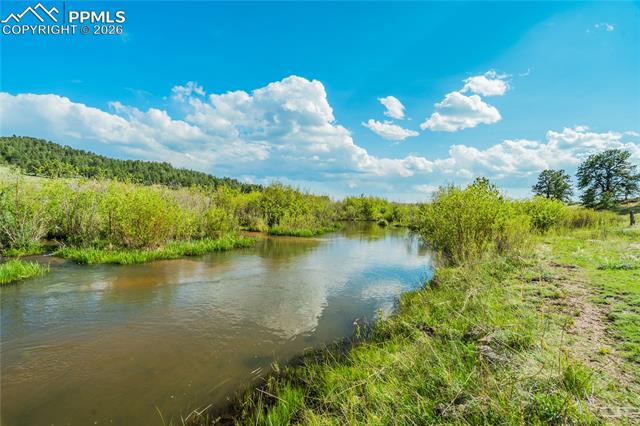 224 Lakeview Forest Heights