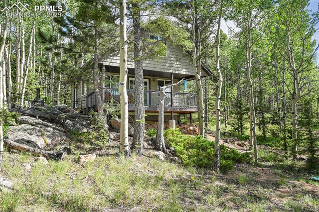 53 Forest Court