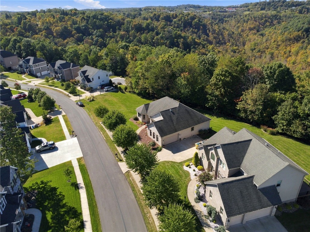 706 Forest Oaks Trl