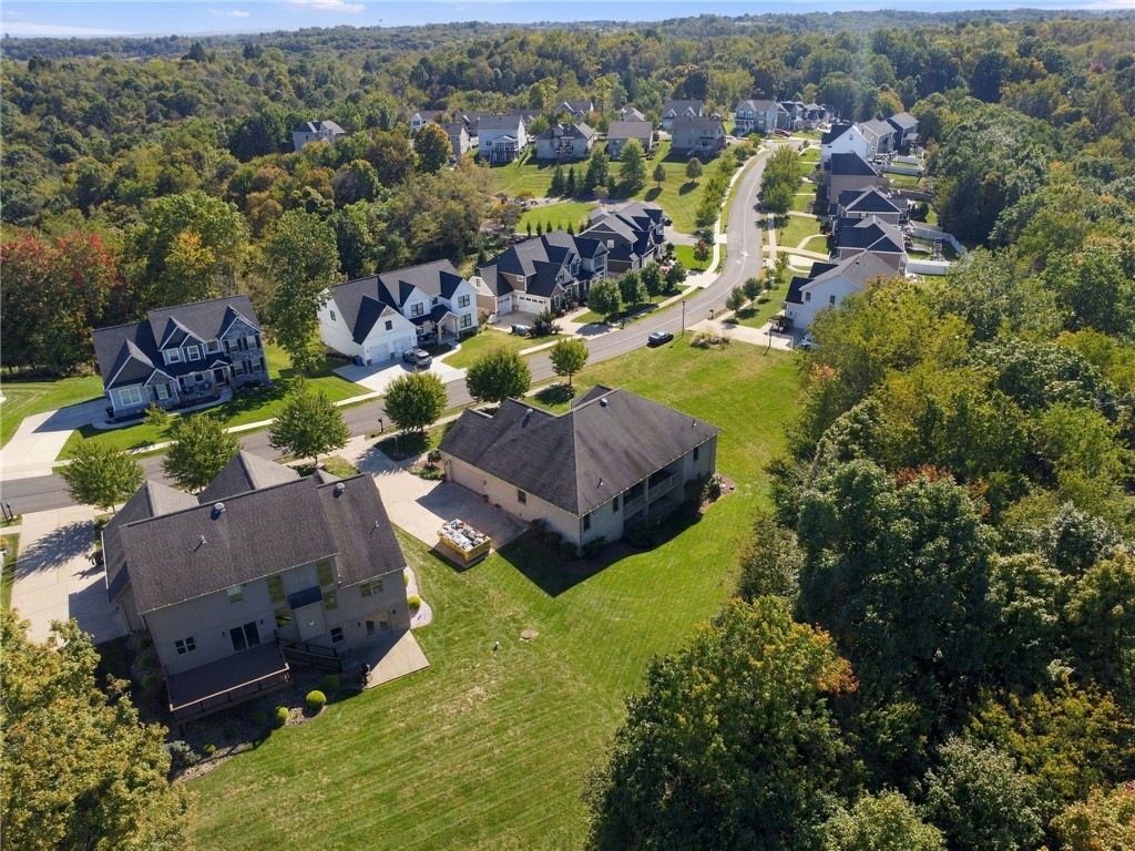 706 Forest Oaks Trl