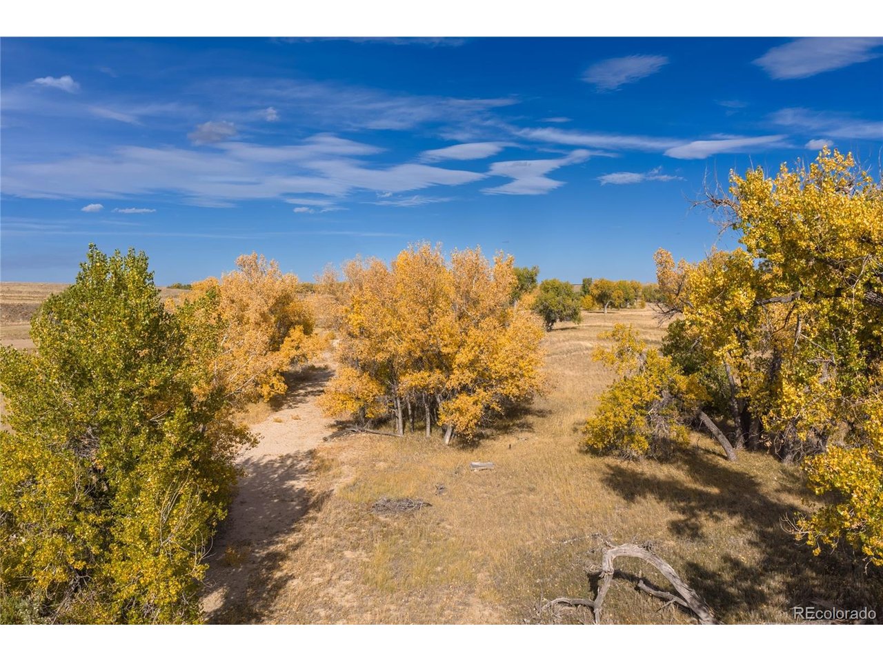 45395 Wolf Creek Dr