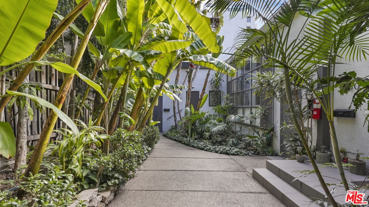 1007 N San Vicente Blvd