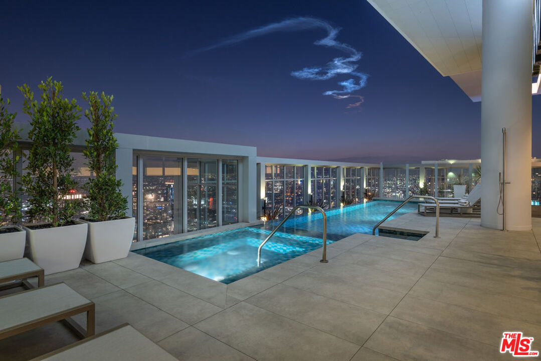 825 S Hill St Unit: Penthouse