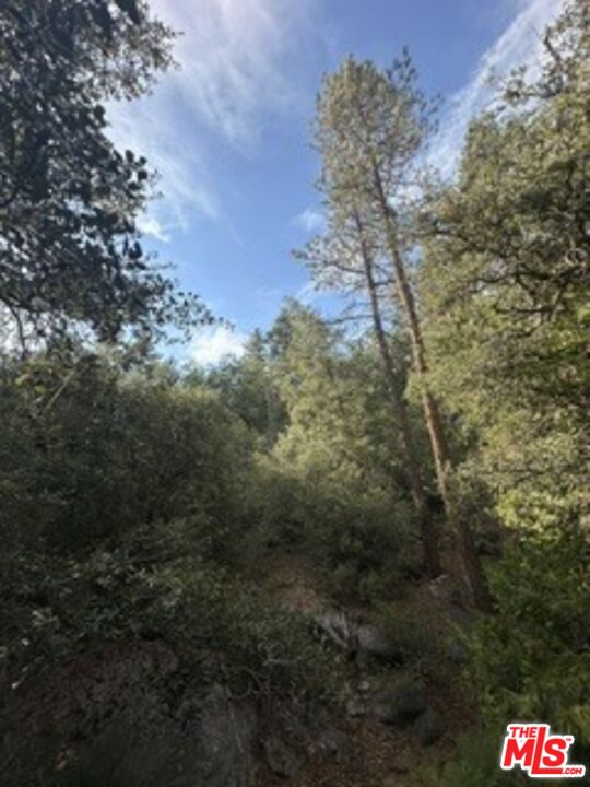25033 Cascade Dr