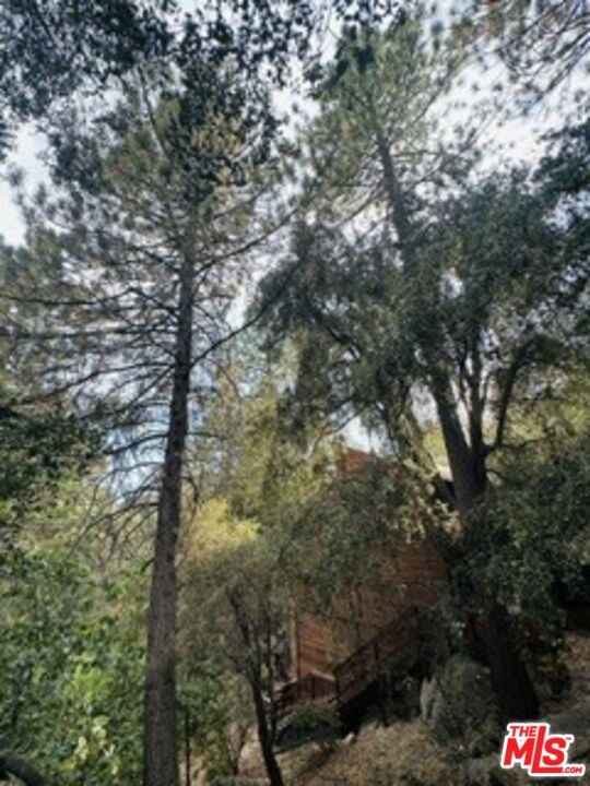 25033 Cascade Dr