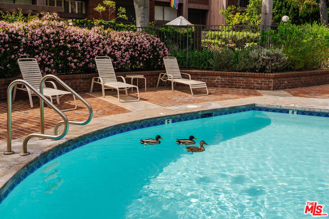 4608 Glencoe Ave Unit: 3