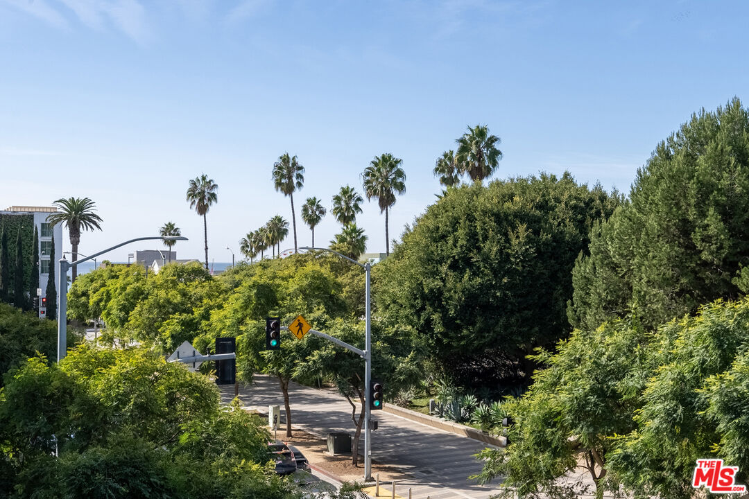 1705 Ocean Ave Unit: 311
