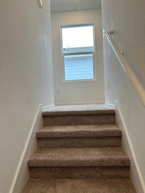 35 Trinity CIR