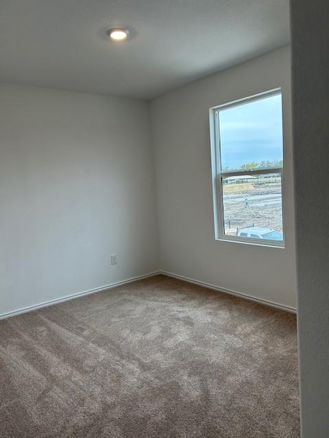 35 Trinity CIR