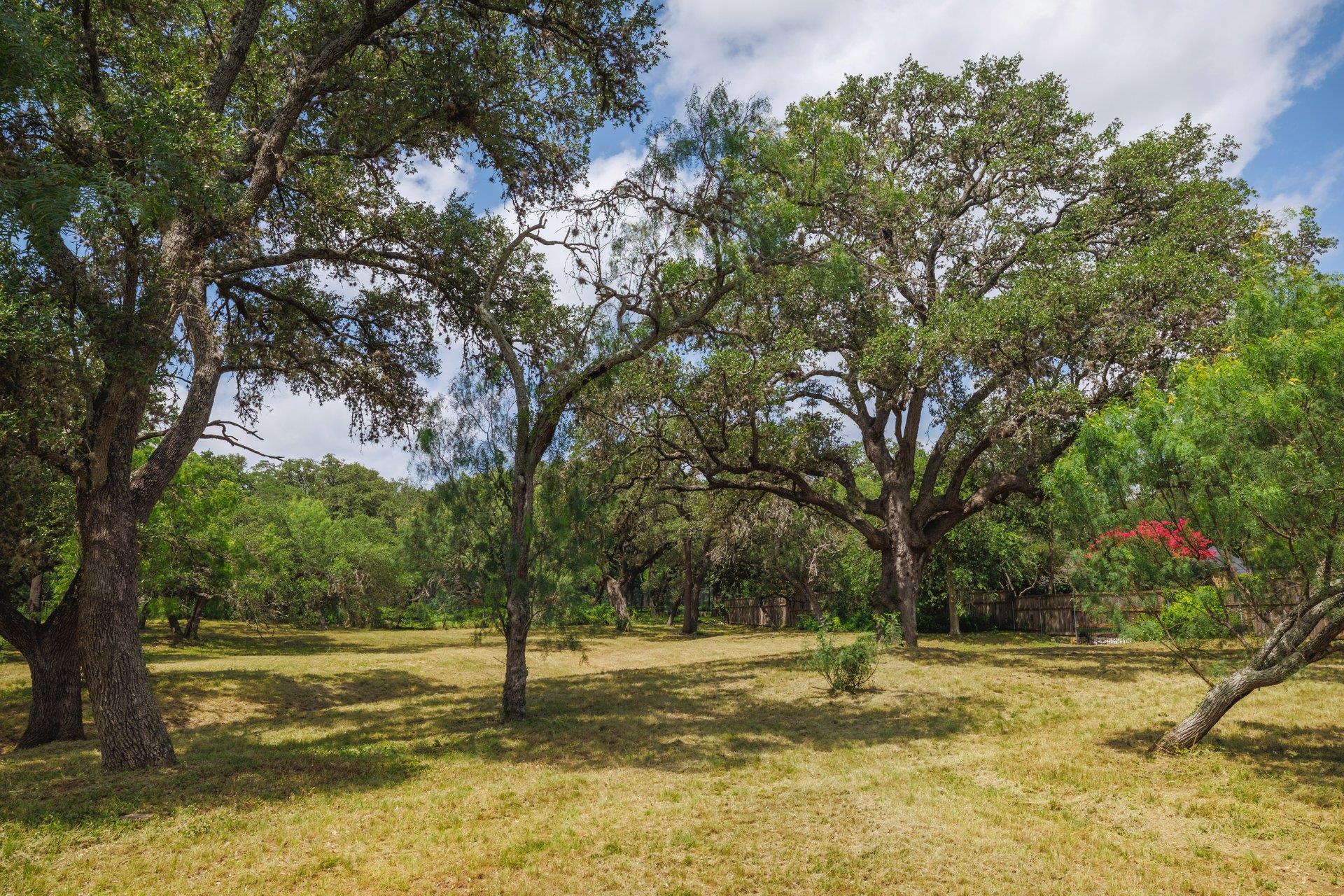 304 Hill Country LN