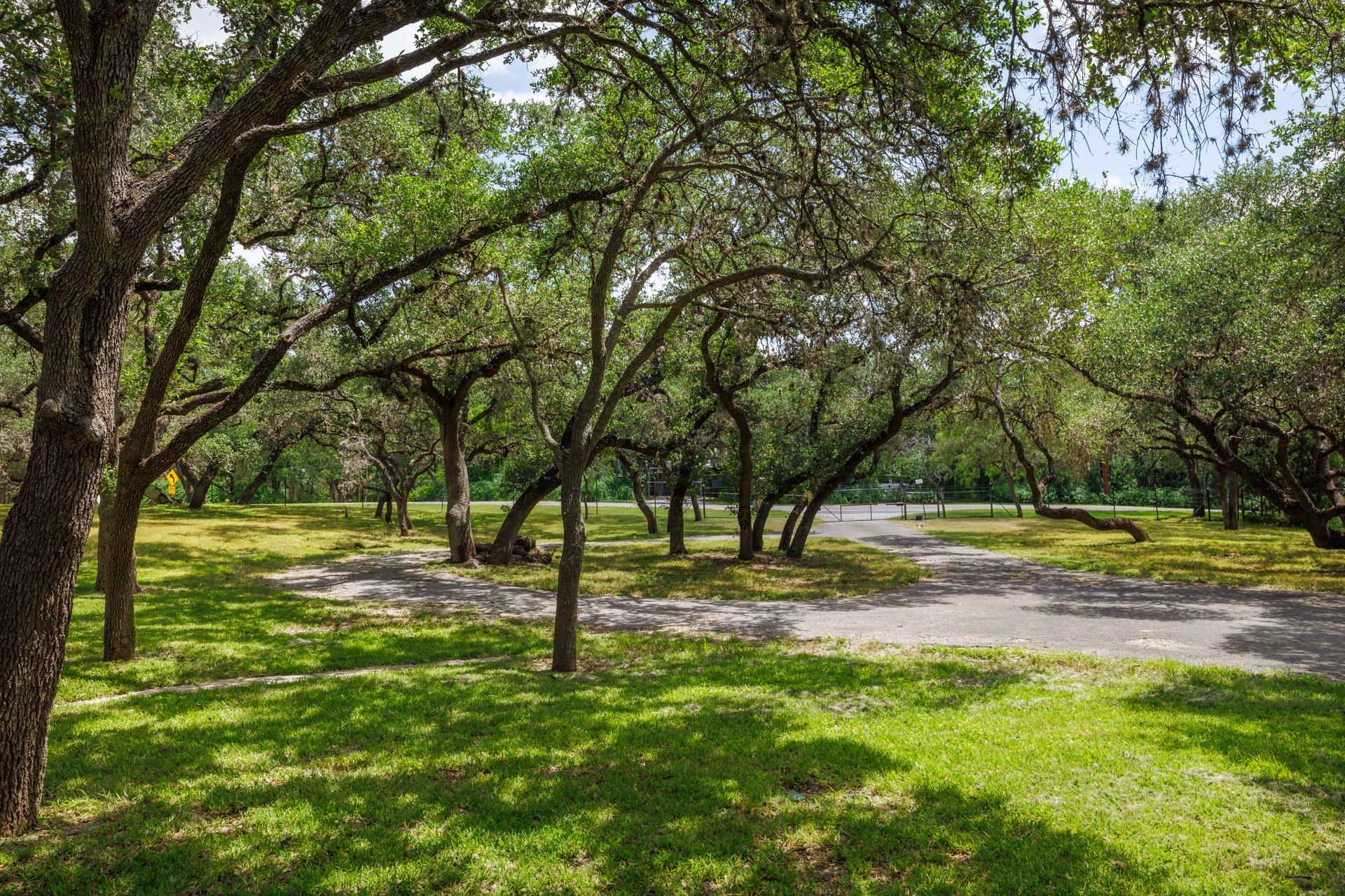 304 Hill Country LN