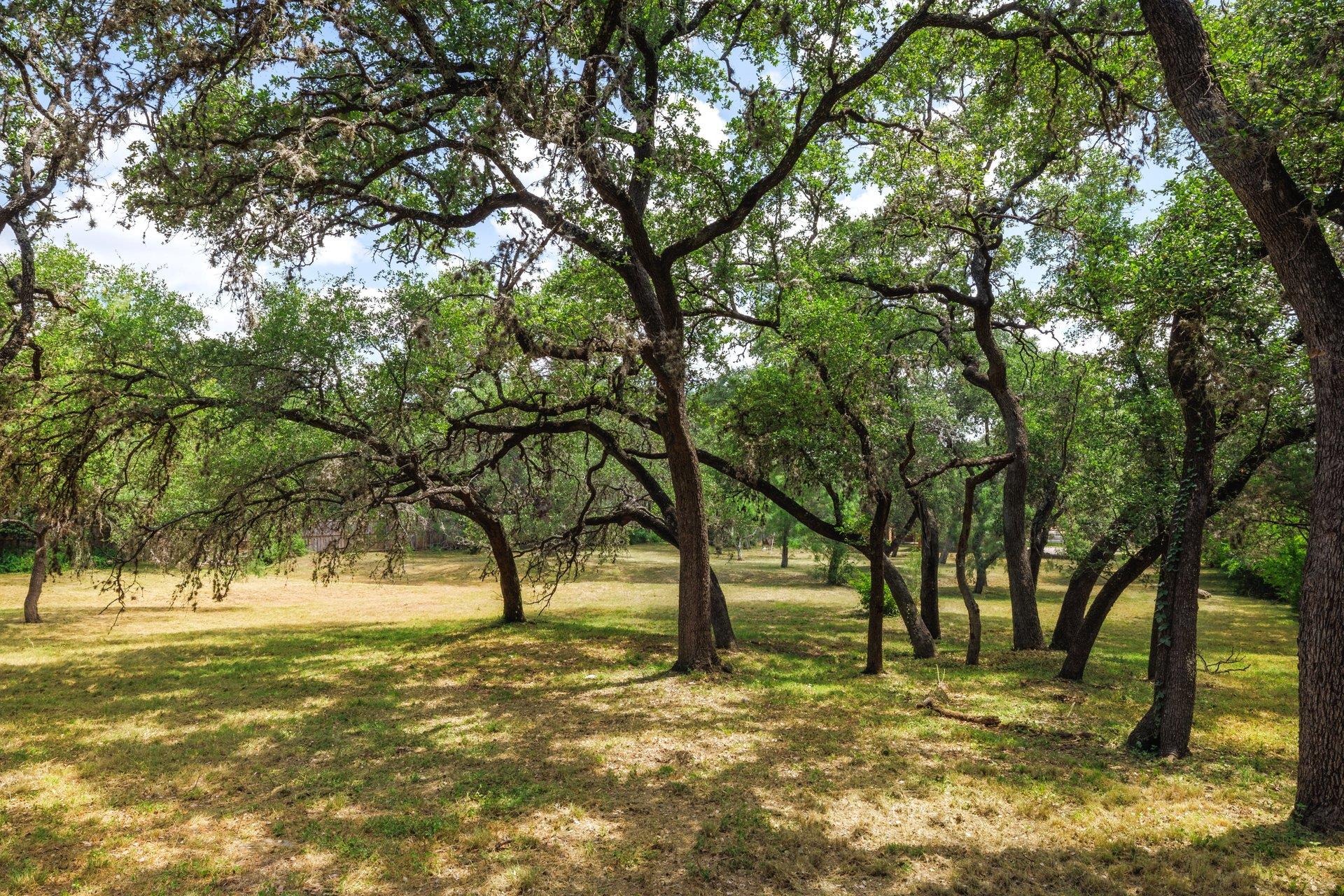 304 Hill Country LN