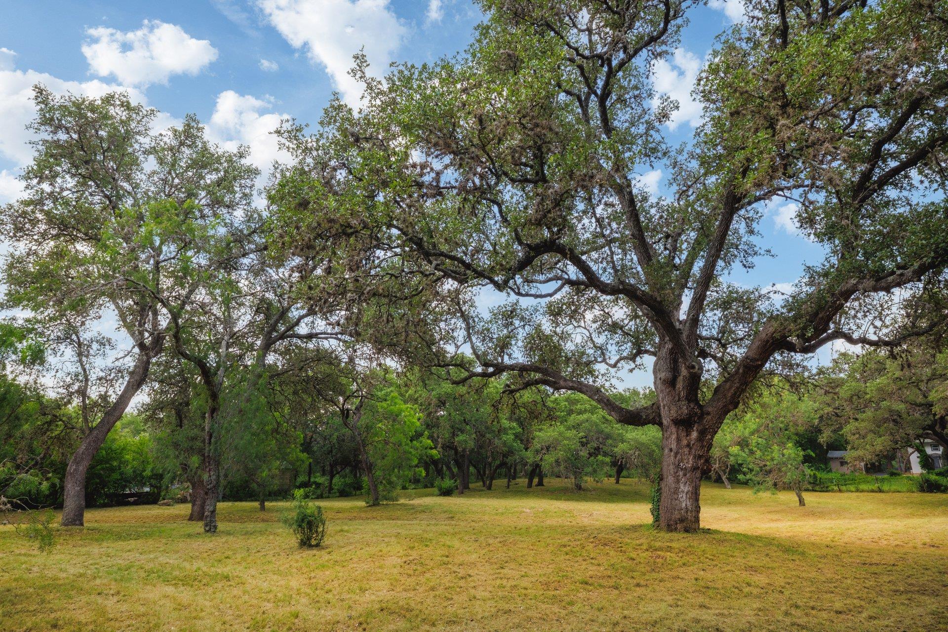 304 Hill Country LN