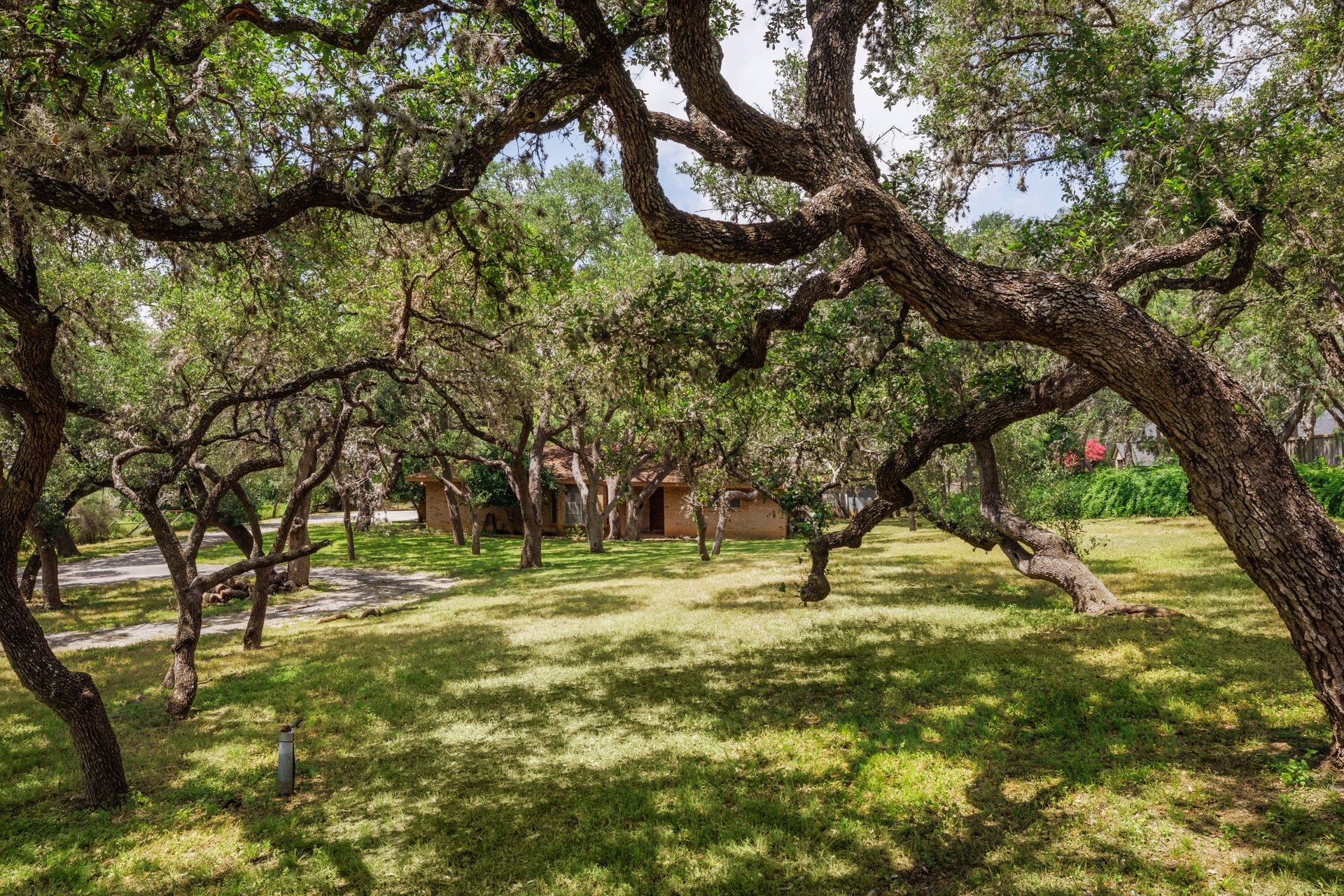 304 Hill Country LN