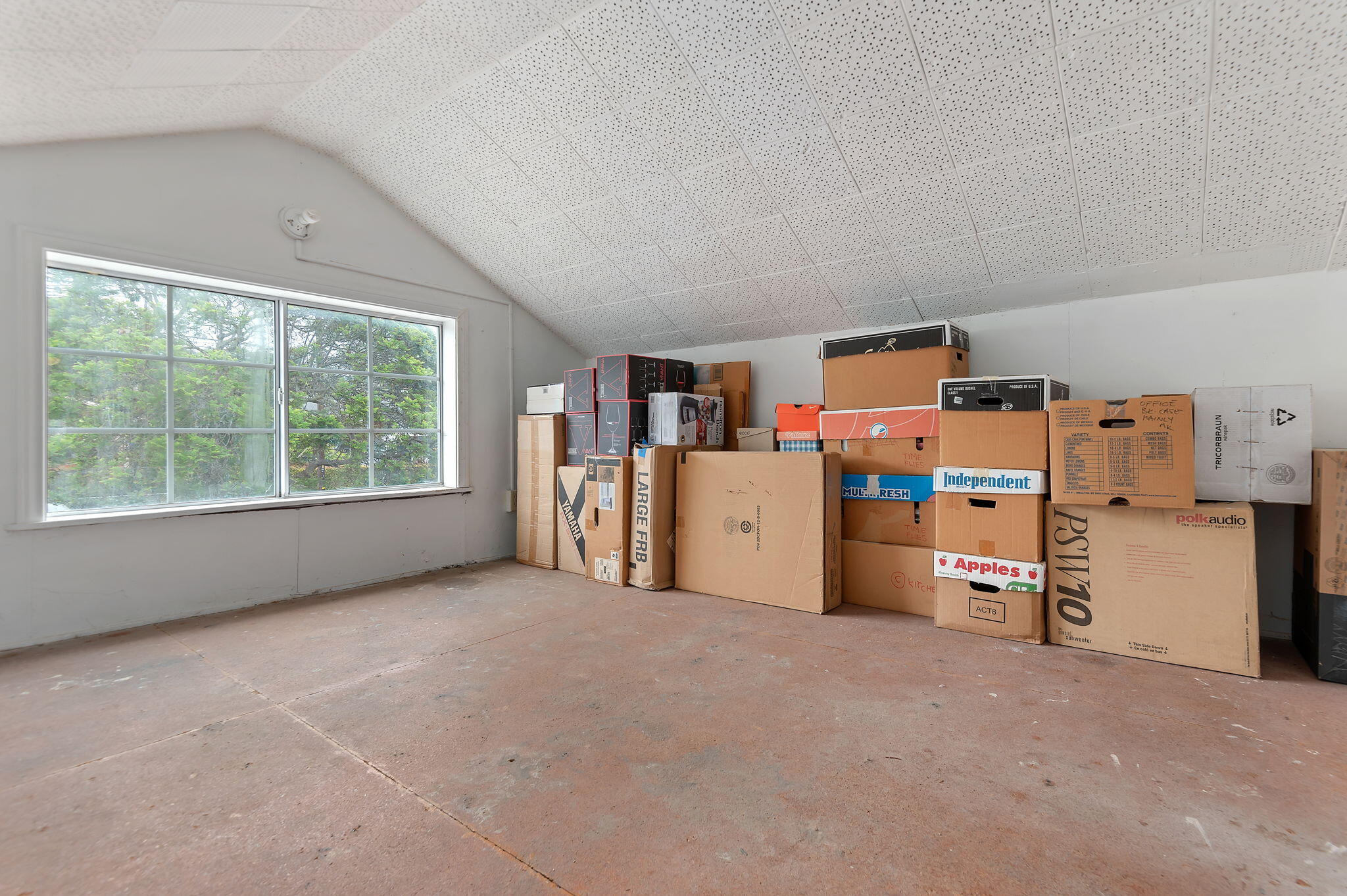 307 Mellifont Avenue