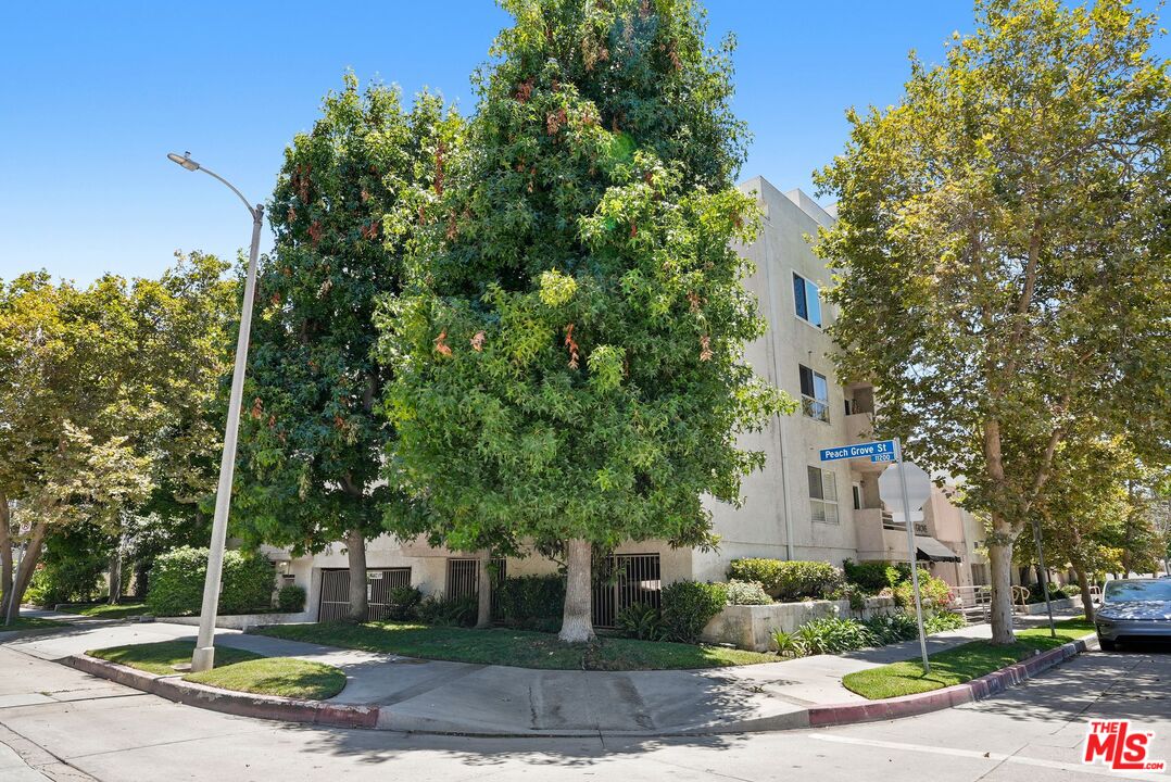 11230 Peach Grove St Unit: 208