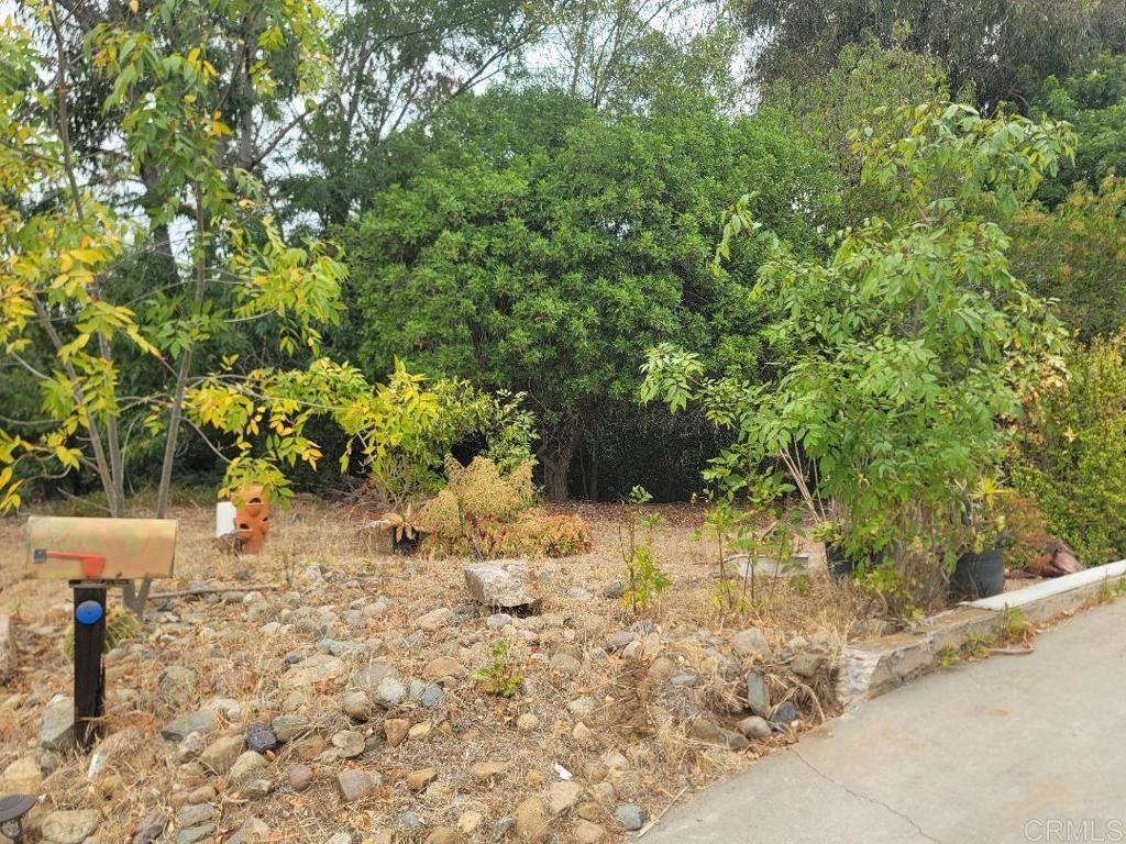 1619 Foothll Dr.