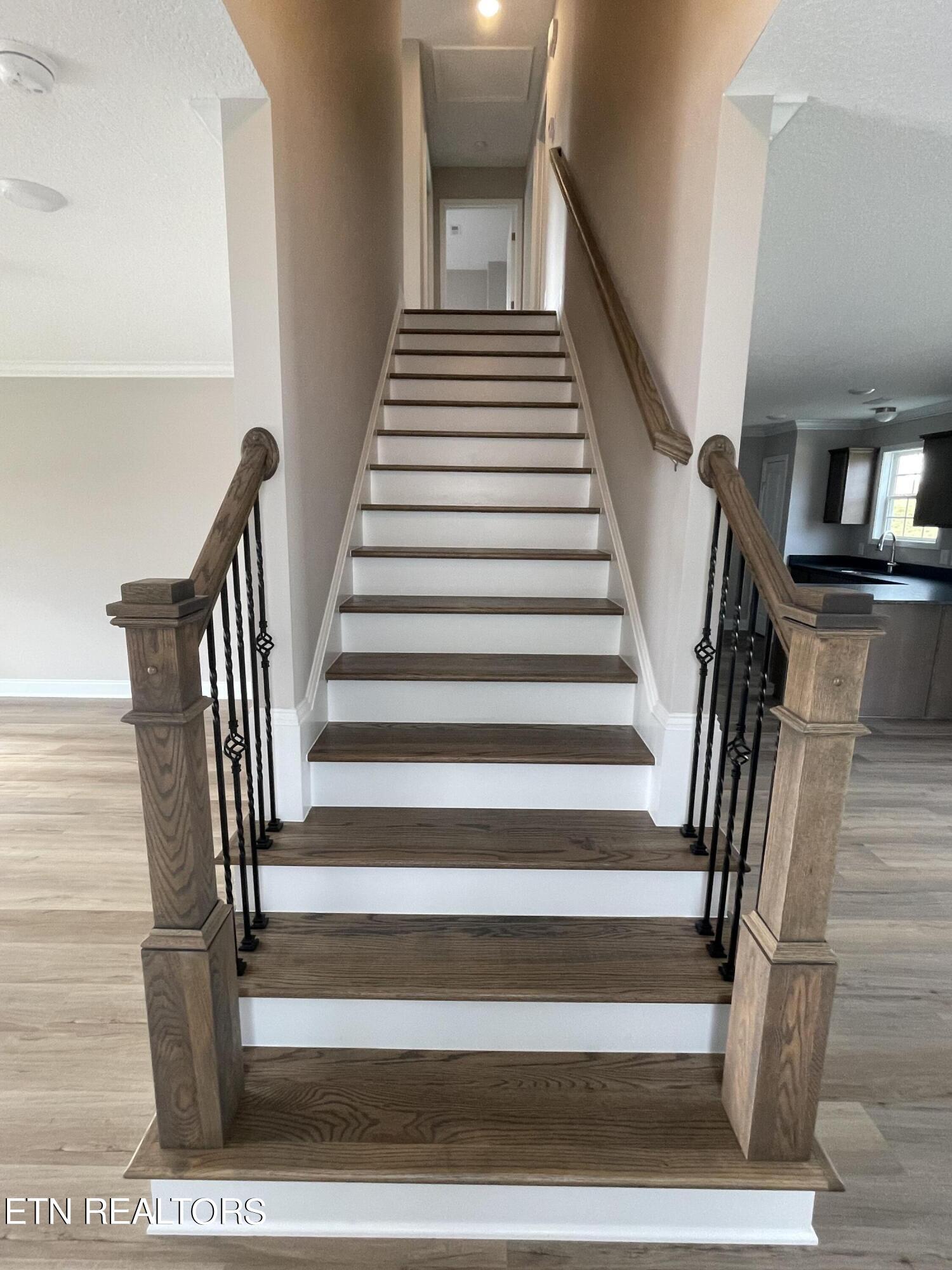 11311 Flame Willow Lane