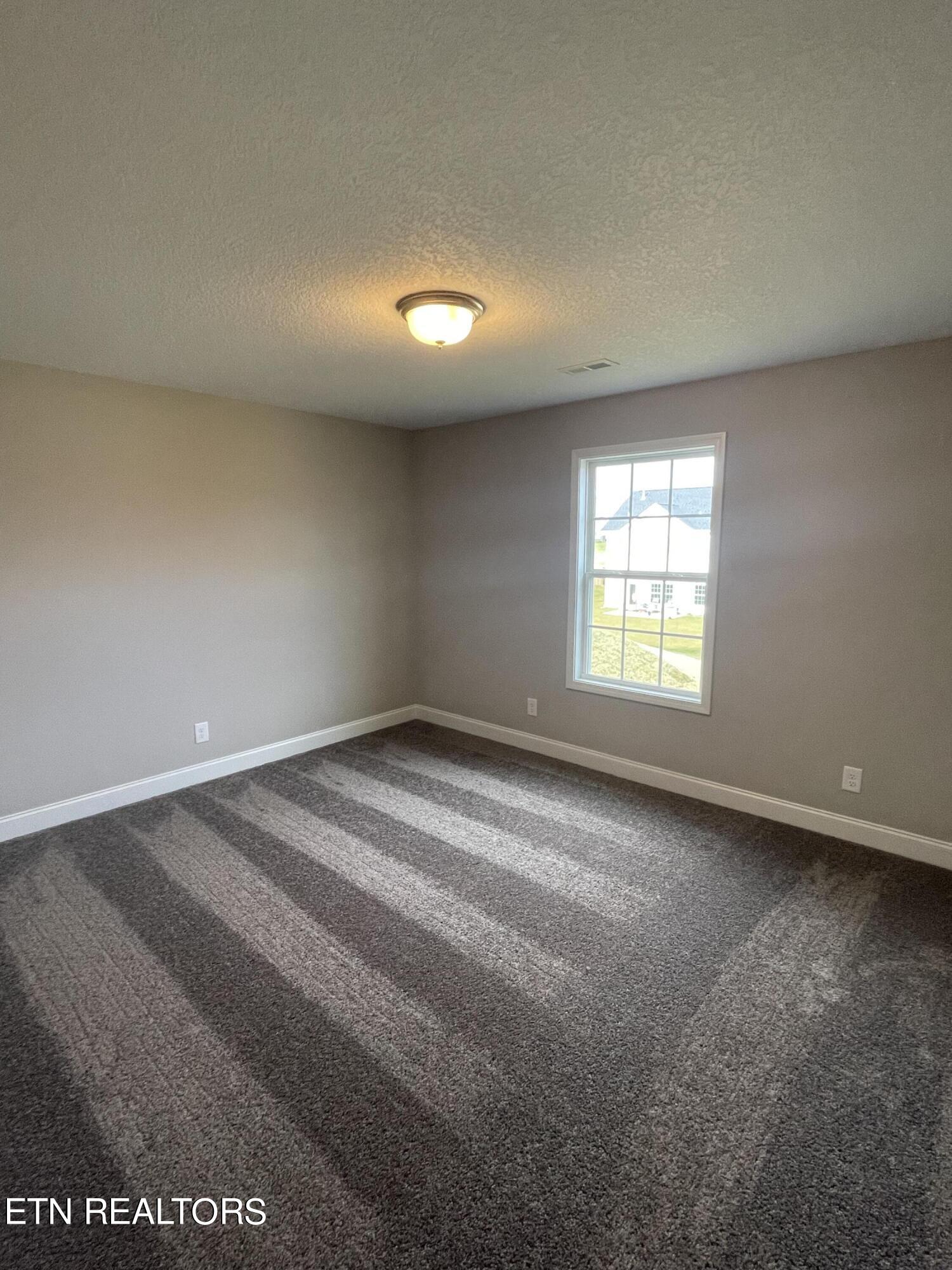 11311 Flame Willow Lane