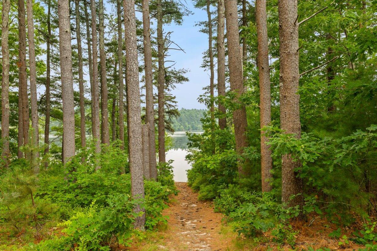 22 Red Pine Lane