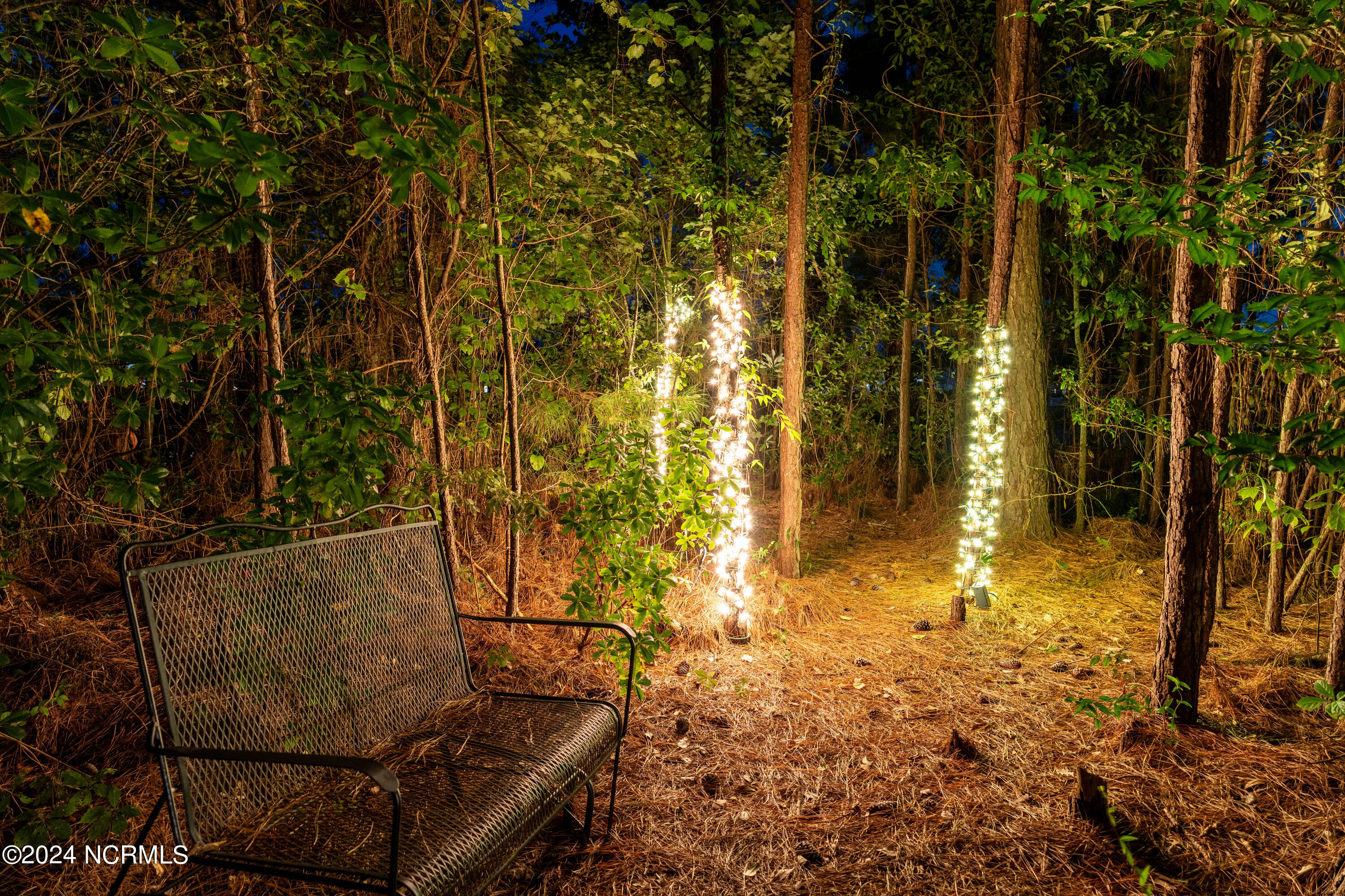 158 Twining Rose Lane