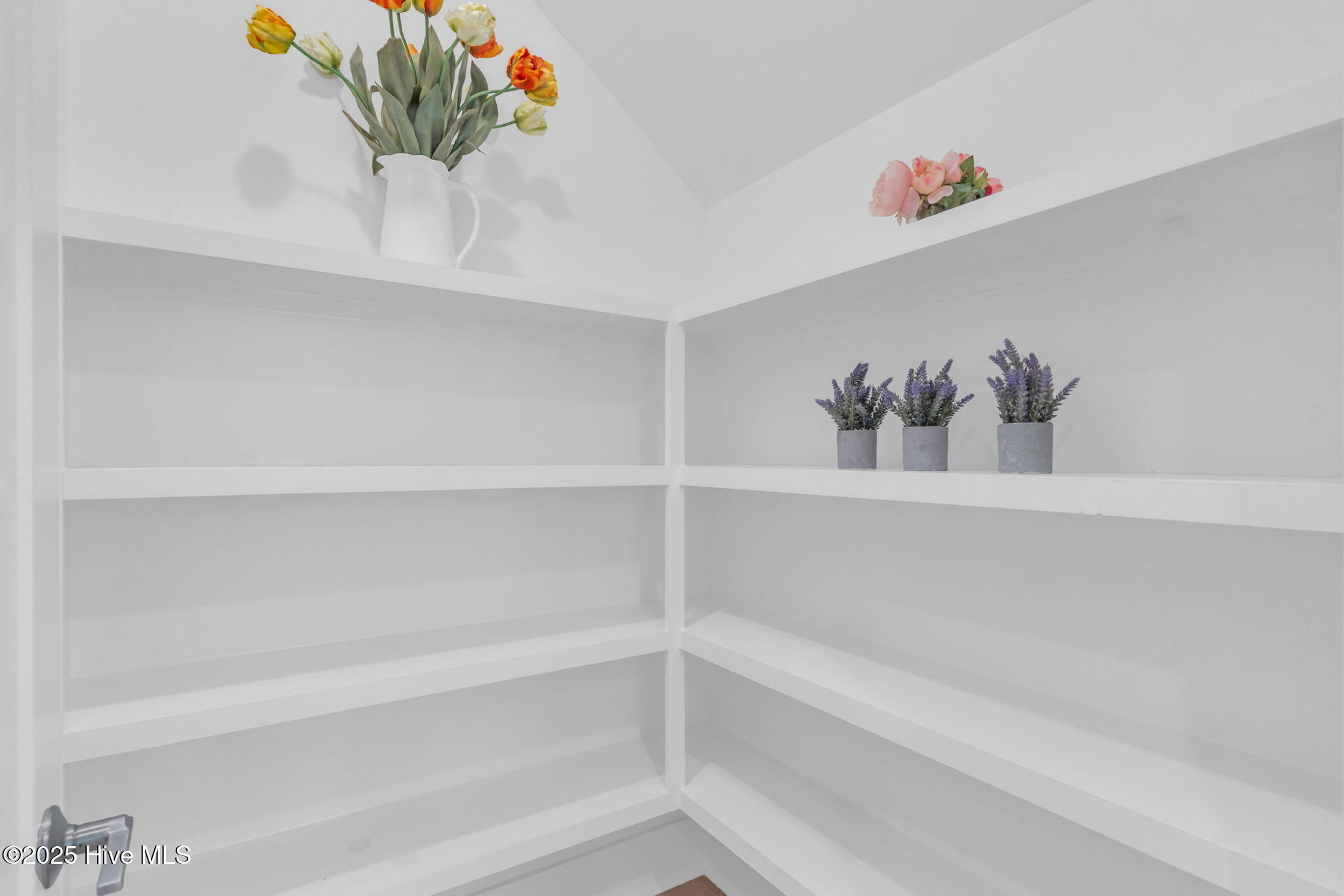 318 Spicer Lake Drive