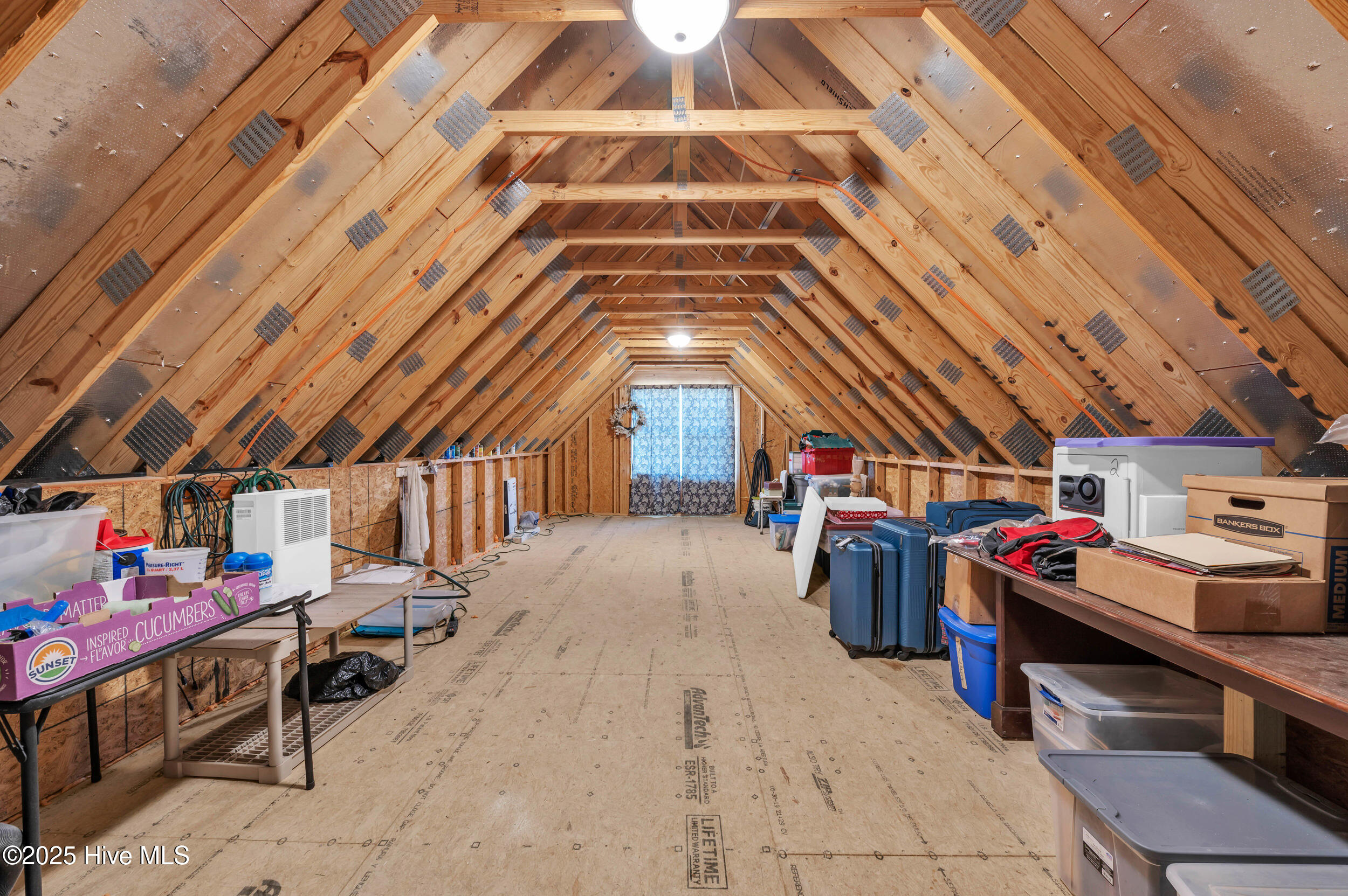 224 Summernights Way