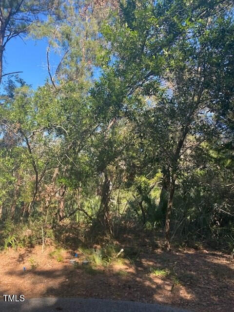 9 Laurel Cherry Court