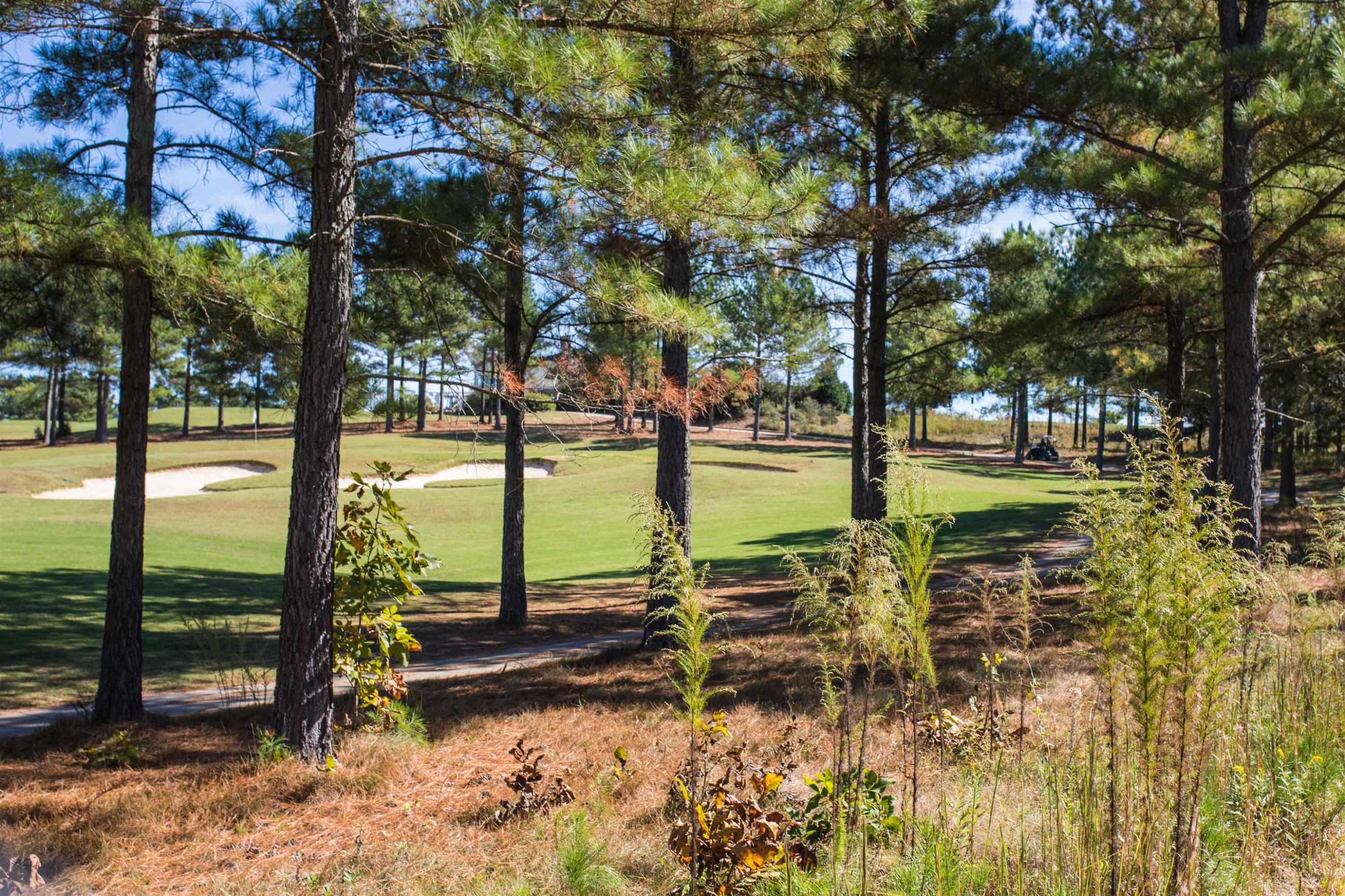 42 Turkey Trace Unit: 434