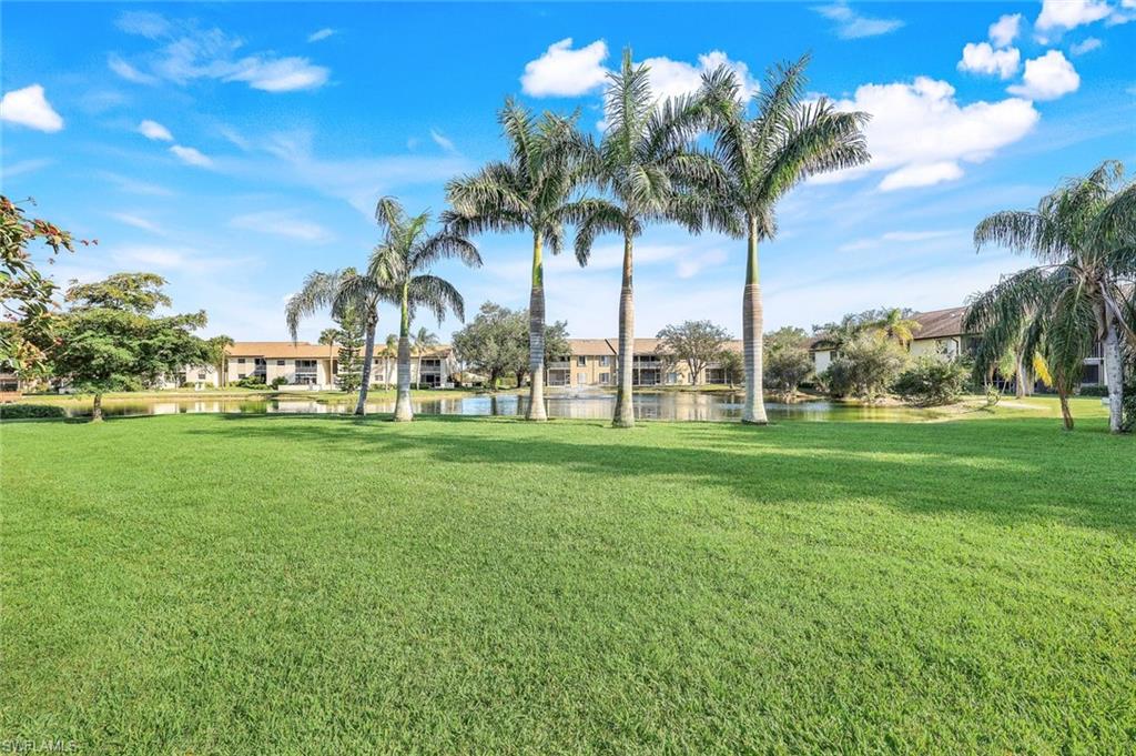 940 Palm View DR # 115