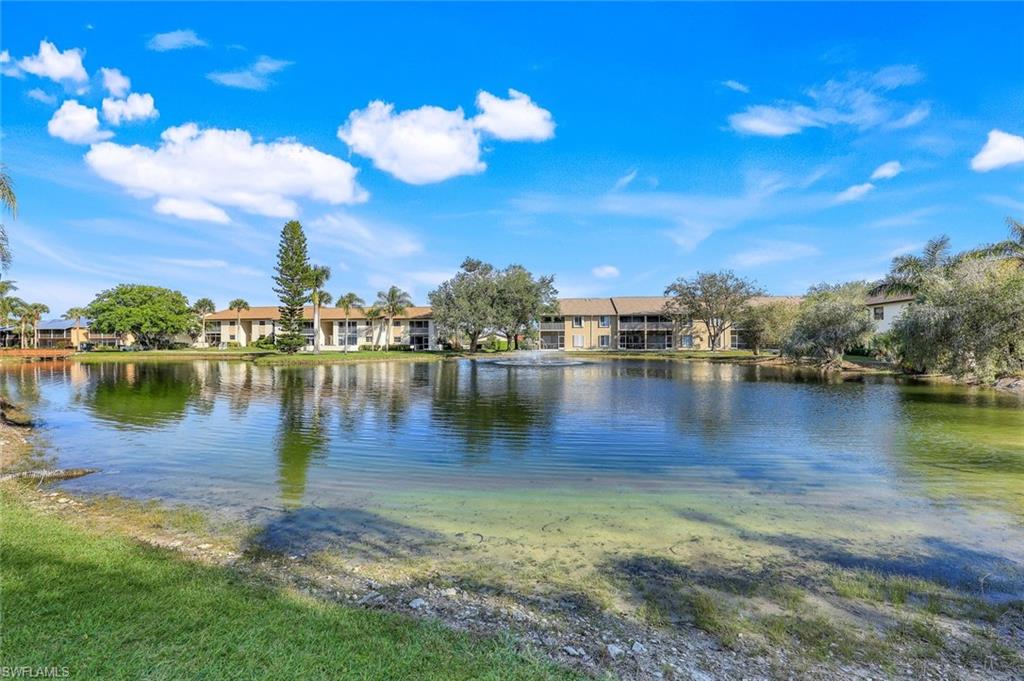 940 Palm View DR # 115