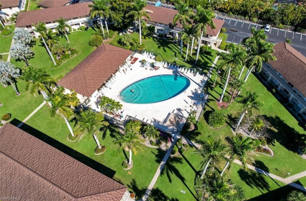 Aerial view of a kidney-shaped community pool surrounded by palms and condominium buildings.