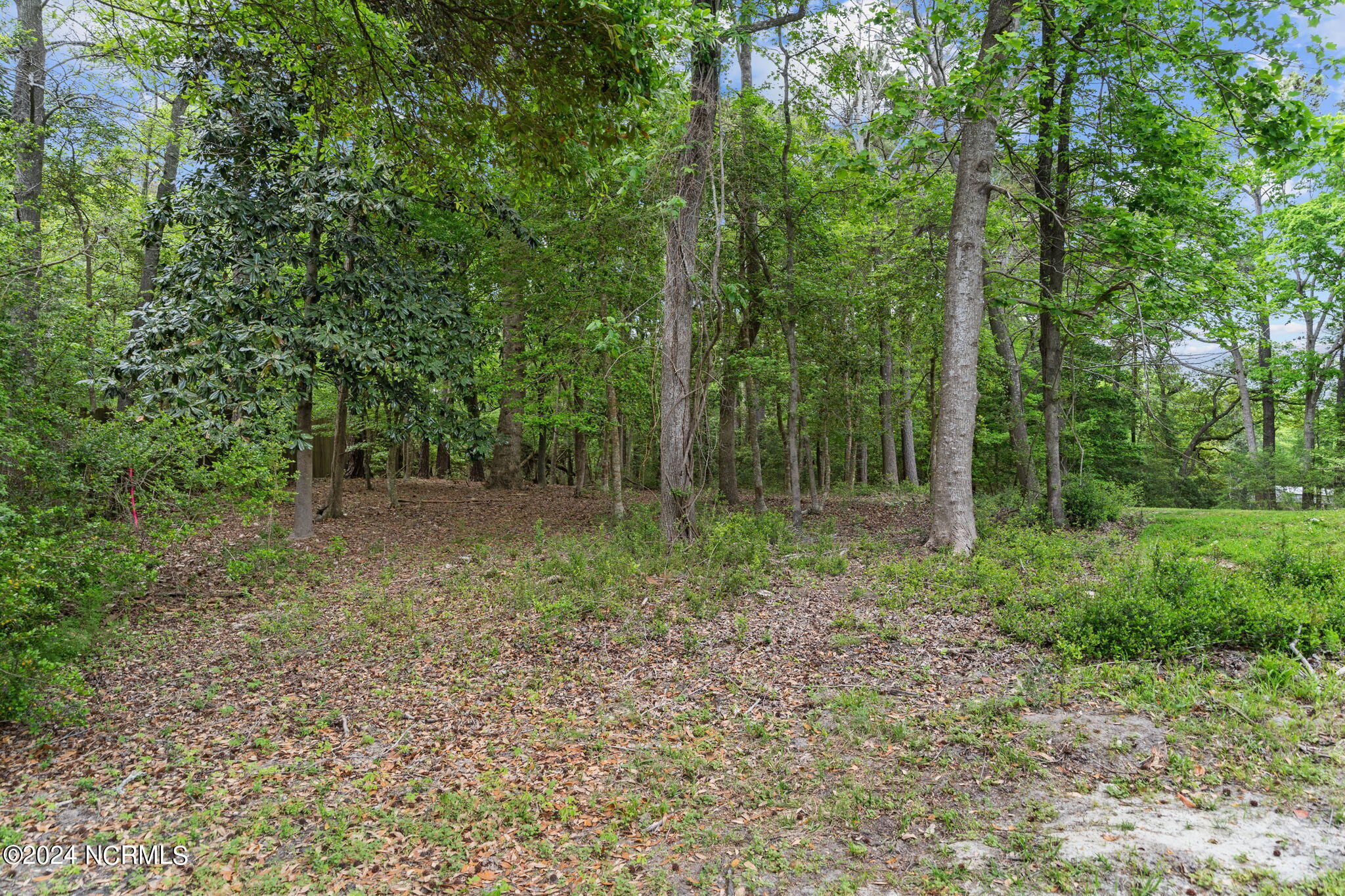 110 Spring Creek Lane