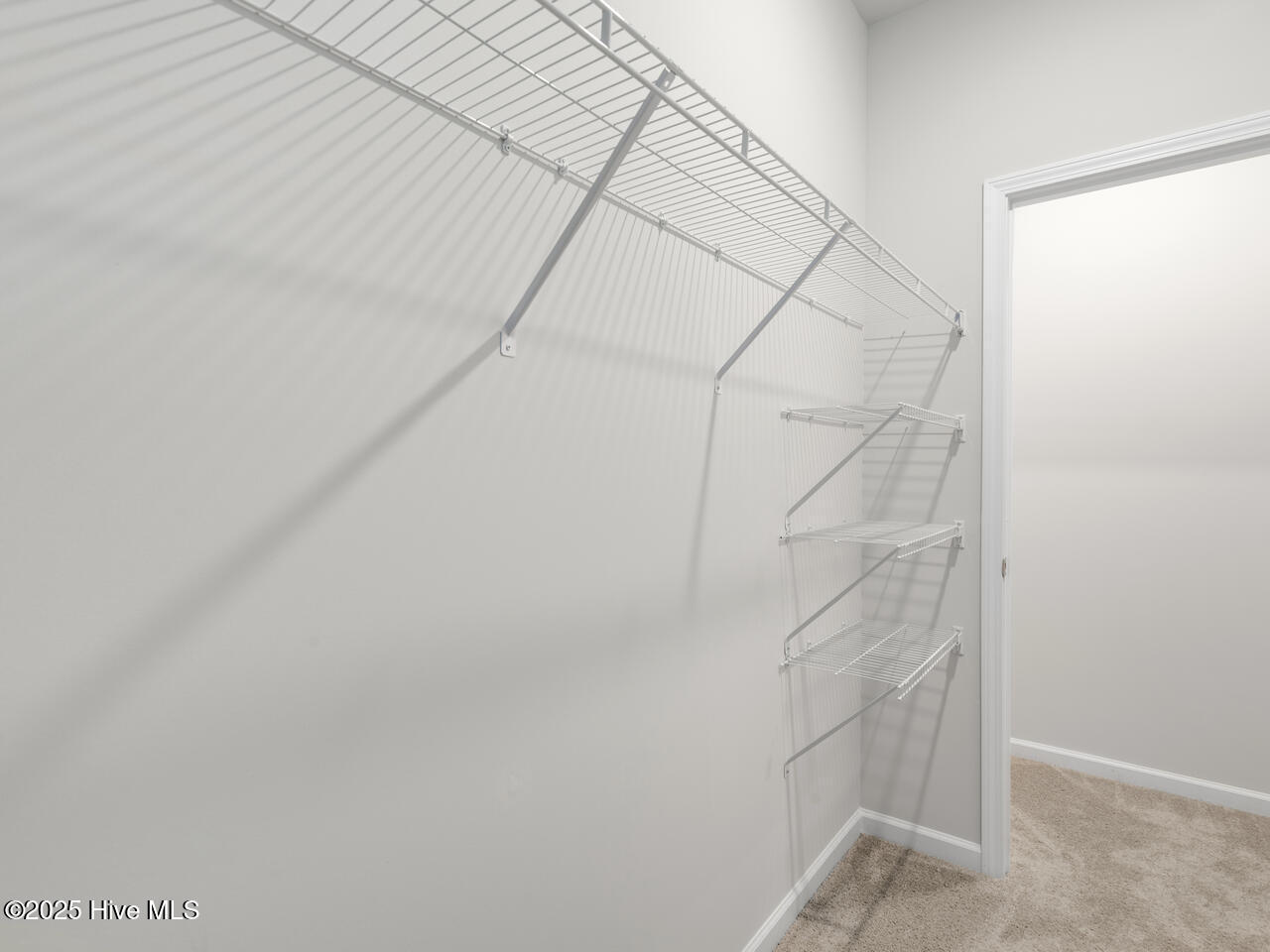 56 N Atlantic Avenue, Lot 117