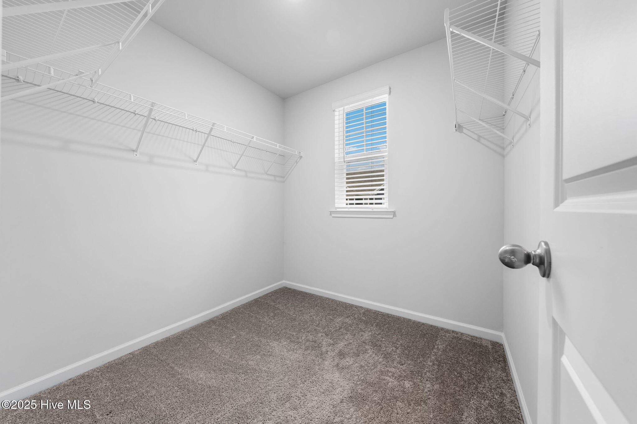 6655 Lemon Lane