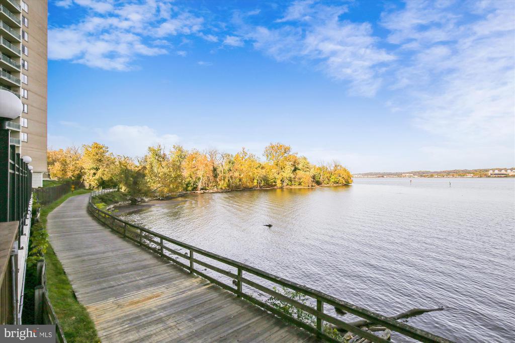 501 Slaters Ln #901