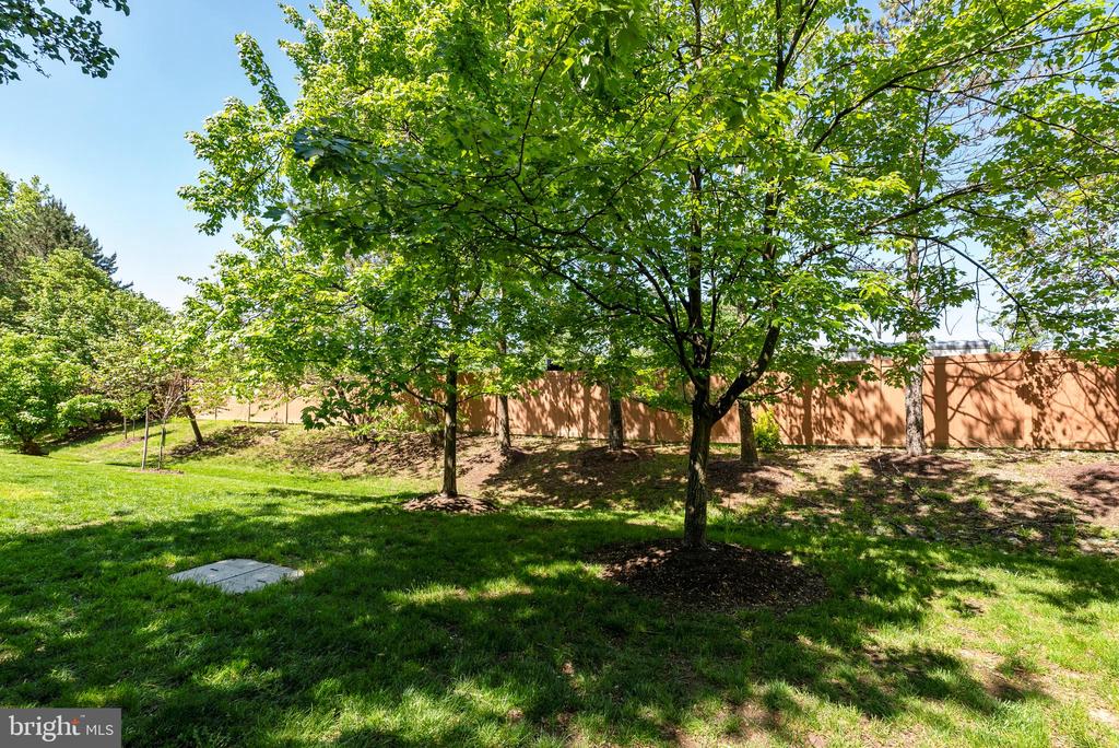 113 Lake Cook Dr