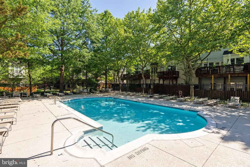 113 Lake Cook Dr