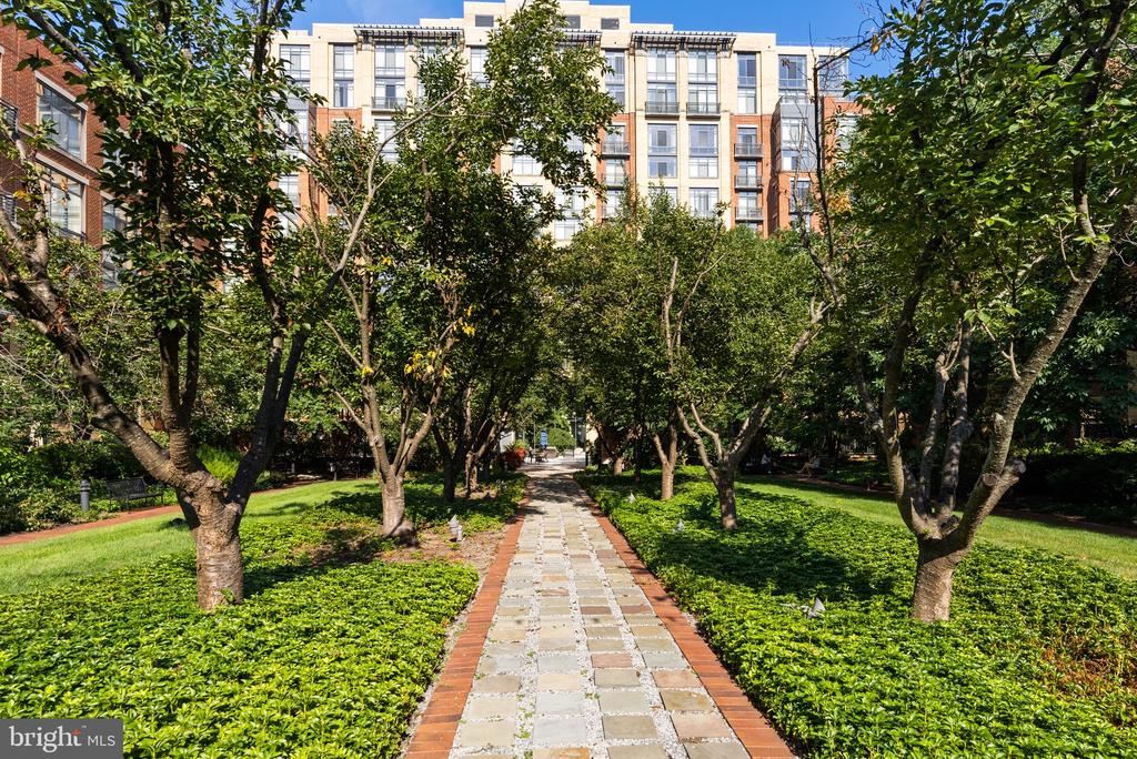 520 JOHN CARLYLE STREET Unit: 107