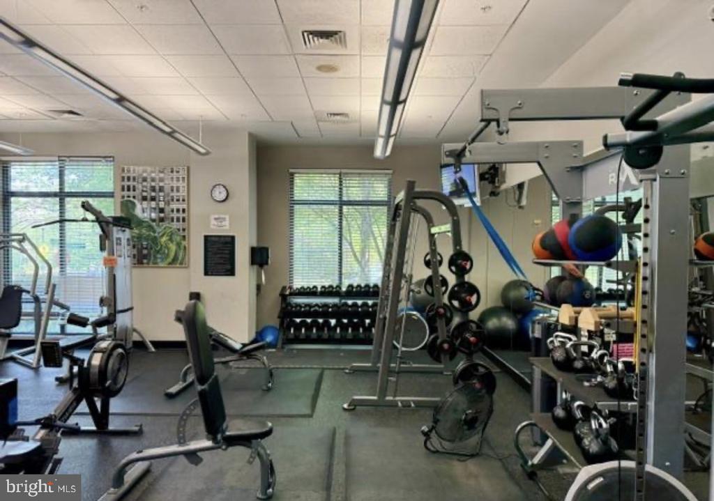520 JOHN CARLYLE STREET Unit: 107