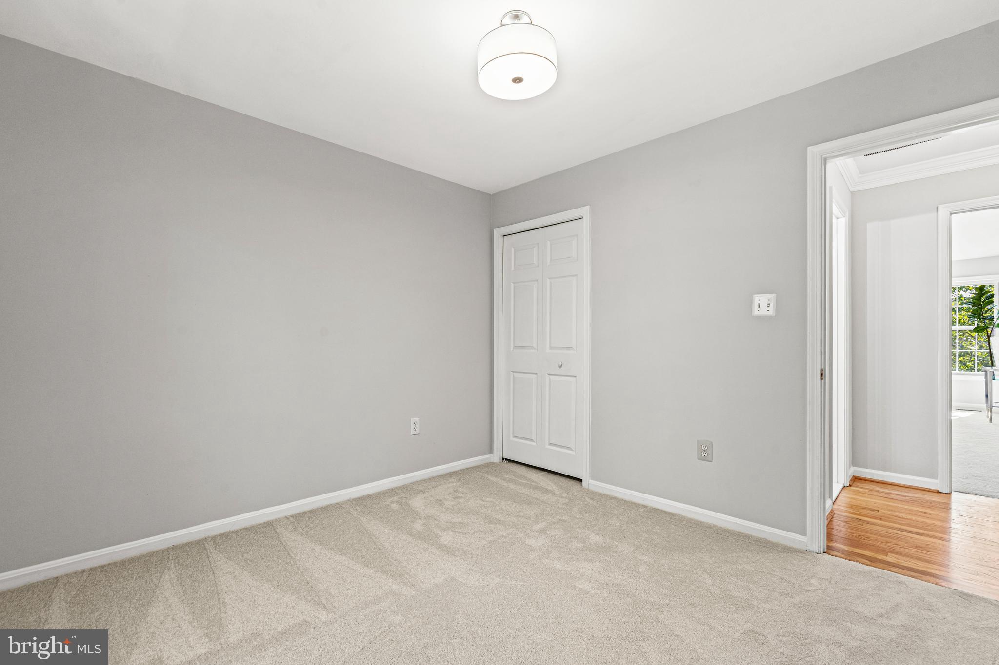 7863 Painted Daisy Dr