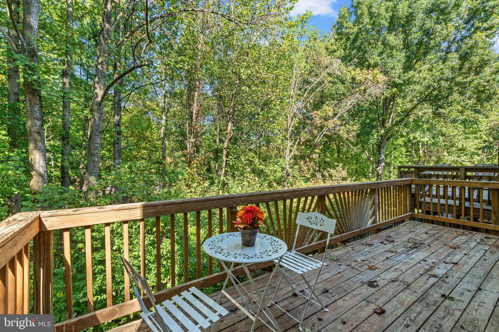 7863 Painted Daisy Dr