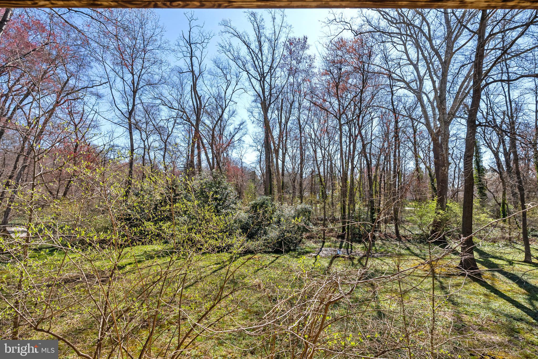 1631 Courtland Rd