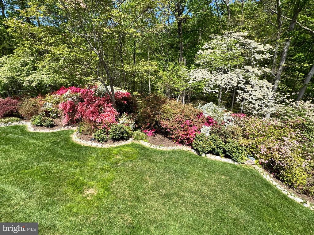 8103 Little Ridge Ln