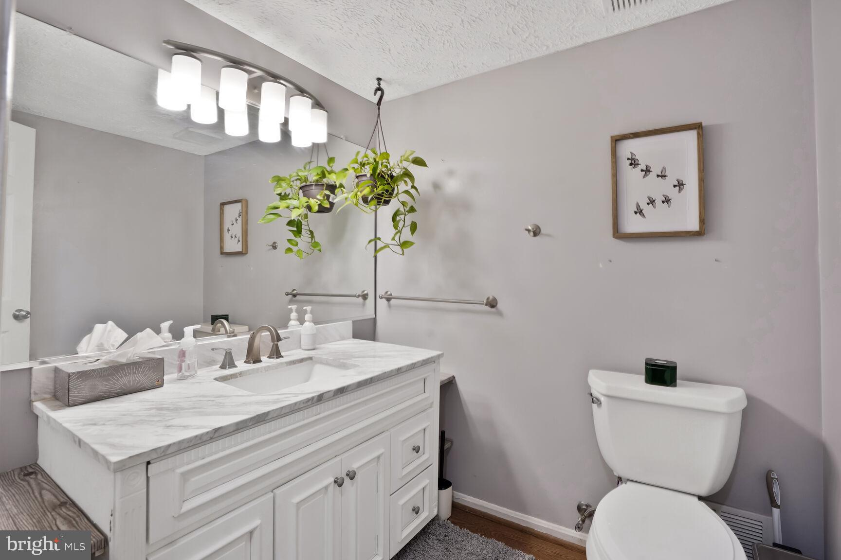 10911 CARTERS OAK WAY