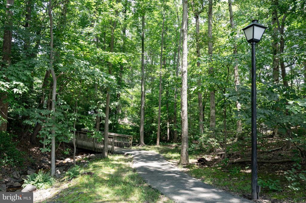 6909 TRILLIUM LANE